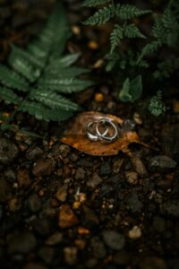 Sun-Kissed Rings